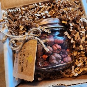New Oily Blends Fall Pumpkin Potpourri Gift